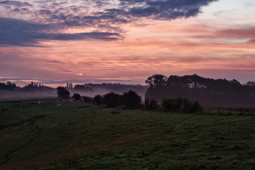 Vakantieboerderij Ferme Le Bleuet Ohey Esterno foto
